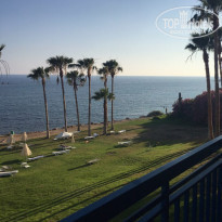 фото из отзыва ID 1533727