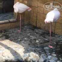 фото из отзыва ID 1533748