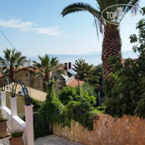 фото из отзыва ID 1534005