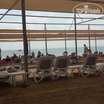 фото из отзыва ID 1534162