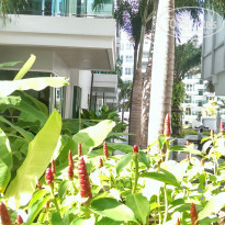 фото из отзыва ID 1534315