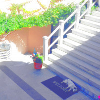 фото из отзыва ID 1534363