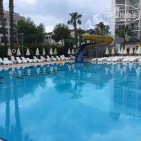 фото из отзыва ID 1534375