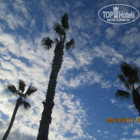 фото из отзыва ID 1534476