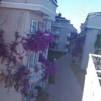 фото из отзыва ID 1534628