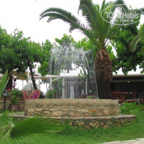 фото из отзыва ID 1534650