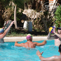 фото из отзыва ID 1534779