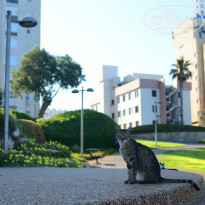 фото из отзыва ID 1534972