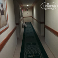 фото из отзыва ID 1535027