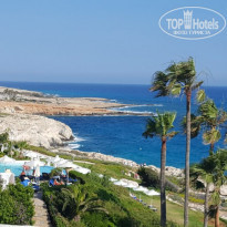 фото из отзыва ID 1535056