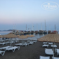 фото из отзыва ID 1535269