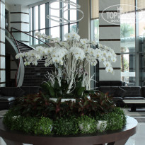 фото из отзыва ID 1535308