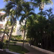 фото из отзыва ID 1535331