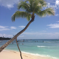 фото из отзыва ID 1535331