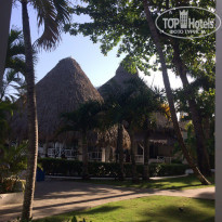 фото из отзыва ID 1535331