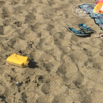 фото из отзыва ID 1535415