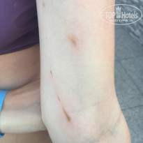 фото из отзыва ID 1535415