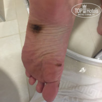 фото из отзыва ID 1535415