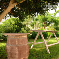 фото из отзыва ID 1535544