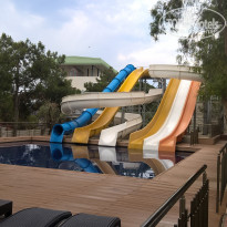 фото из отзыва ID 1535575