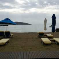 фото из отзыва ID 1532934