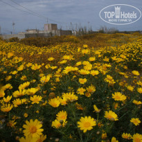 фото из отзыва ID 1535931