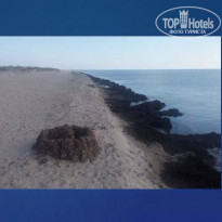 фото из отзыва ID 1535952