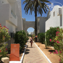 фото из отзыва ID 1535965