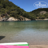 фото из отзыва ID 1535939