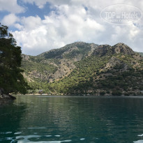 фото из отзыва ID 1535939