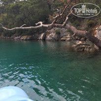 фото из отзыва ID 1535939