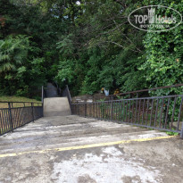 фото из отзыва ID 1536051