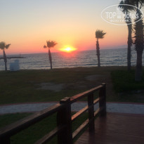 фото из отзыва ID 1536099