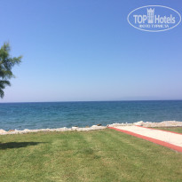 фото из отзыва ID 1536099