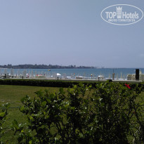 фото из отзыва ID 1535583