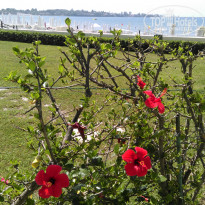 фото из отзыва ID 1535583