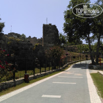 фото из отзыва ID 1535583