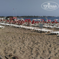 фото из отзыва ID 1535583