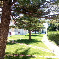 фото из отзыва ID 1533019