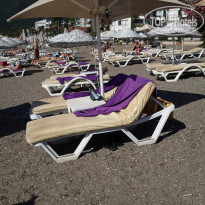 фото из отзыва ID 1536566