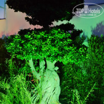 фото из отзыва ID 1536590