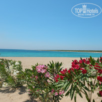 фото из отзыва ID 1536742