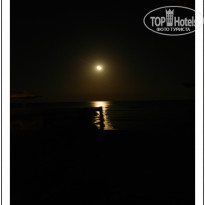 фото из отзыва ID 1534779