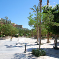 фото из отзыва ID 1534779