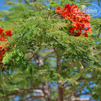 фото из отзыва ID 1534779