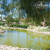 фото из отзыва ID 1534779