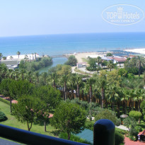 фото из отзыва ID 1537000