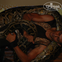 фото из отзыва ID 1534779