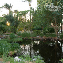 фото из отзыва ID 1534779