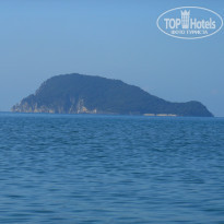 фото из отзыва ID 1537065